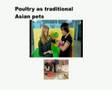 Poultry Internet-Mixed Reality Lab, Adrian David Cheok