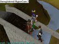 Bridge Bug