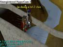 Bridge Bug
