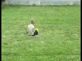Bok Van Blerk op 3 Jaar