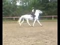 Jak Sylwia 'nie' radzi sobie z koniem..Porażka Sylwii^^Nieudany galop^^Parodia^^JOKE!:)Niestety Blanca już nie jest takim samym koniem jak kiedyś..w szkółce się 'zniszczyła'. Pracę jaką włożyła Sylwia przez tą godzinę..to jutro pewnie nie będzie efektów..:(A szkoda bo Blanca jest świetnym koniem - nie do szkółki..