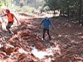 GANESELA AL BARRO