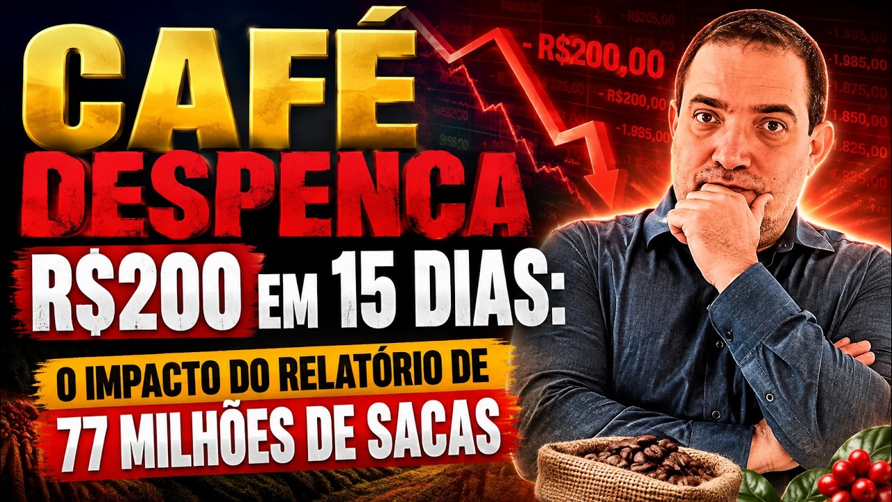 Café despenca R$200 em 15 dias: O impacto do relatório de 77 milhões de sacas.