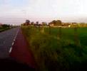 racen racen