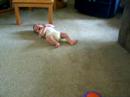 crawling alternitive crawling alternitive