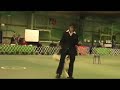 Advanced Canine Freestyle