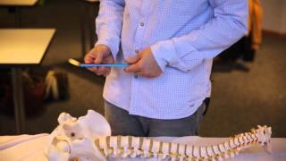 Osteopathie Videos: Kleines Becken - Jesse de Groodt