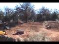 videos de Pit Bike Ride Day