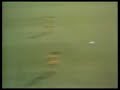 Swansea City vs Leeds United - 1981