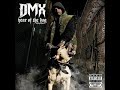 from dmx's 