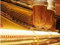 Piano Orchestra (4 Pianos) - Thorton - Untold Requiem