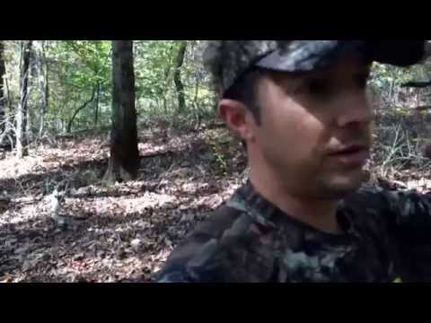 how to provide deer bedding areas