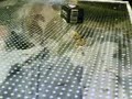 porro 14 papeles 15 euros polen 13 cigarros
