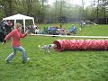 borderka agility