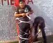 omar ameca el oso