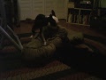 Danger and His New Girlfriend