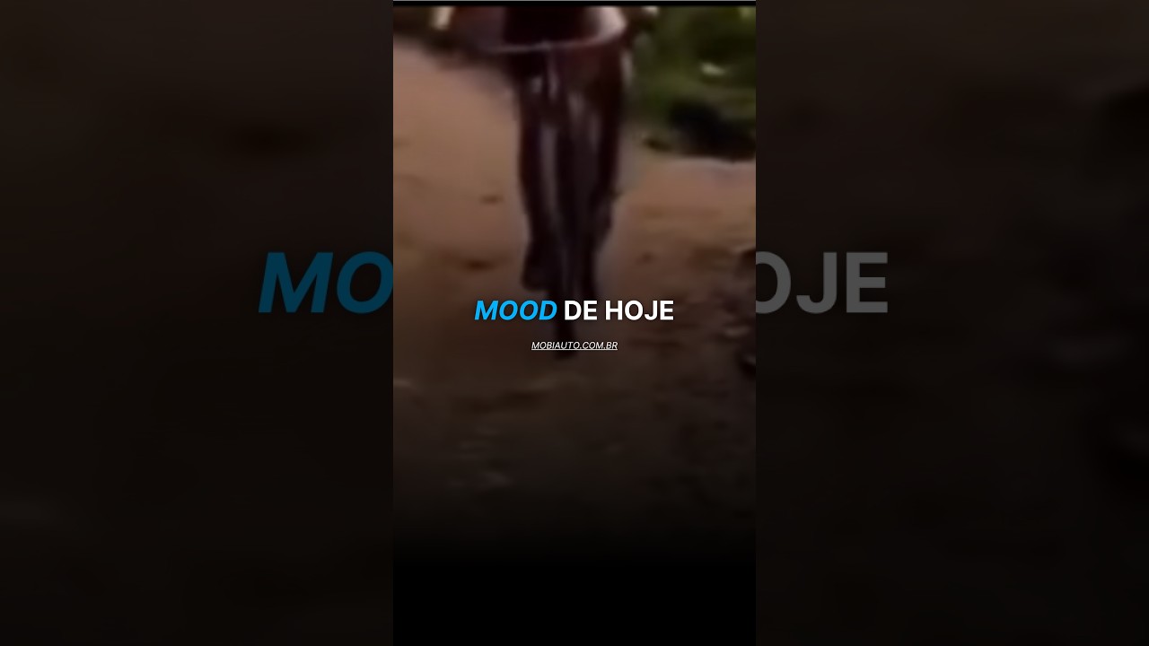 MUITA DISPOSIÇÃO PRA CAUSAR UM ACIDENTE 🤣