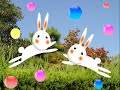 ムービー,0005,