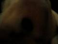 videos de Birthday video