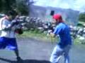 videos de Serg vs pollito