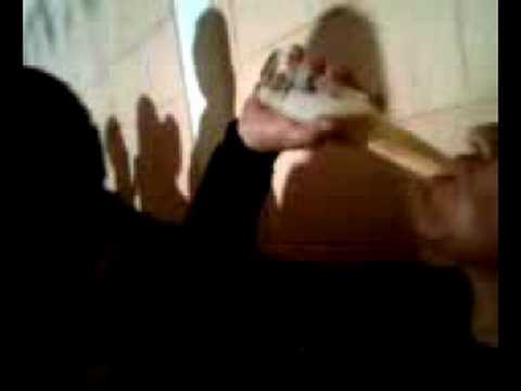 Imagen de previsualización de YouTube