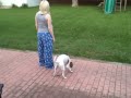 Gill video 4