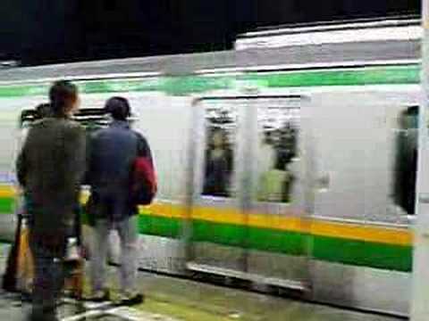 Train in Japan (JR Tokaido Line)