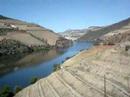 ALTO DOURO - PINHÃO