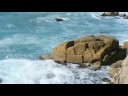 Waves of Relaxation
