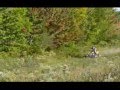 400ex Quad sports 2006
