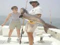 Outer Banks Cobia Fishing aboard the Poacher