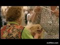 Clips from the documentary Puppy Love by ZCZ Films, presented by Waldemar Januszczak. Copies of the entire programme available at http://www.zczfilms.com