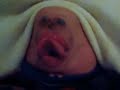Chin Singing-Gnar Kill-Erection Chin Singing-Gnar Kill-Erection