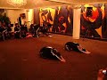 choi kwang do hq malaria demo