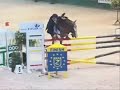 Thrills & Spills of Jumping