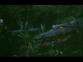 KILLER CROCODILE (trailer)