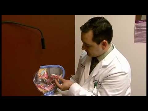 child gyn