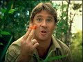 Subway - Steve Irwin
