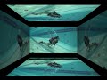 Discover Scuba Diving Discover Scuba Diving