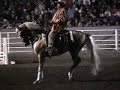 cowboy dressage golden warrior.mp4