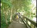 videos de 9708 貴子坑