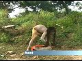 Kickass Miracles - Erectile Tissue Destruction