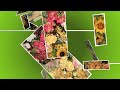 Plants4U