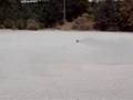 FG MB Pro Small Jumps