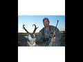 antelope hunter antelope hunter