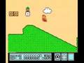 SUPER MARIO BROS 3 BUGS, SPEED RUN MONTAGE