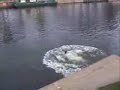 bmx bloopers