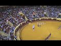 banda da sociedade filarm�nica progresso e labor samouquense

pra�a de toiros do campo pequeno

grande corrida 