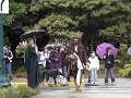 Pirate Float Pirate Float