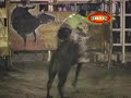 Los Destructores en Tecomán,Colima